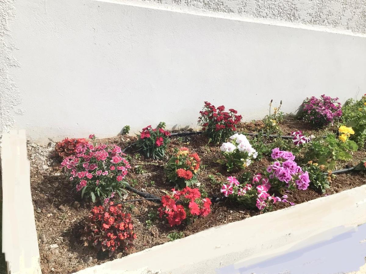 Arokaria Holiday Houses Platanes  Exterior photo