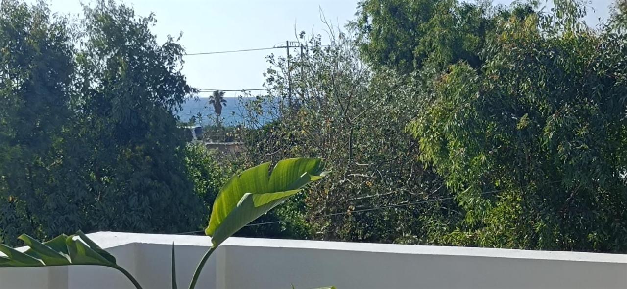 Arokaria Holiday Houses Platanes  Room photo