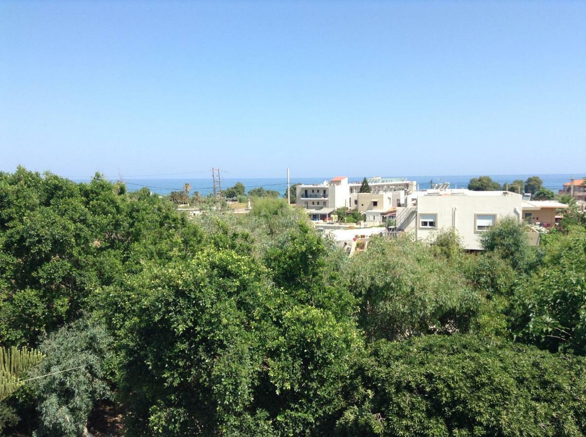 Arokaria Holiday Houses Platanes  Exterior photo